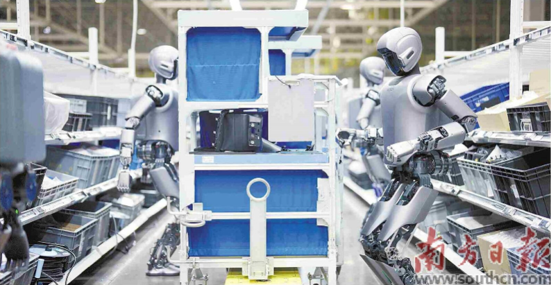 優(yōu)必選工業(yè)人形機(jī)器人在工廠開(kāi)展協(xié)同實(shí)訓(xùn)。 南方日?qǐng)?bào)記者 朱洪波 通訊員 羅艷 攝